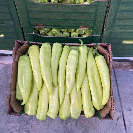 SPECA TË GJATË DJEGËS, GAJBE 5 KG